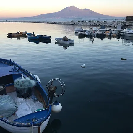 Peppe's Relax The View *