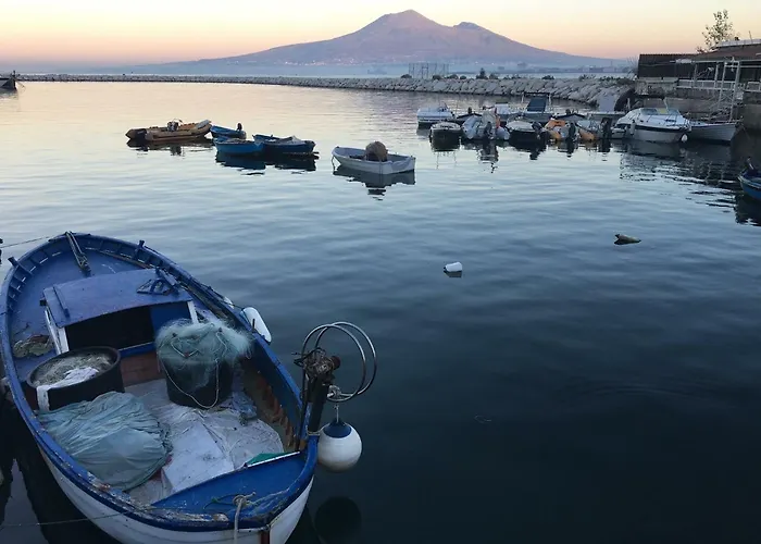 Peppe's Relax The View *